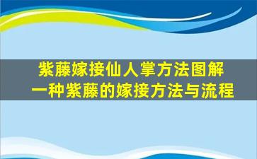 紫藤嫁接仙人掌方法图解 一种紫藤的嫁接方法与流程